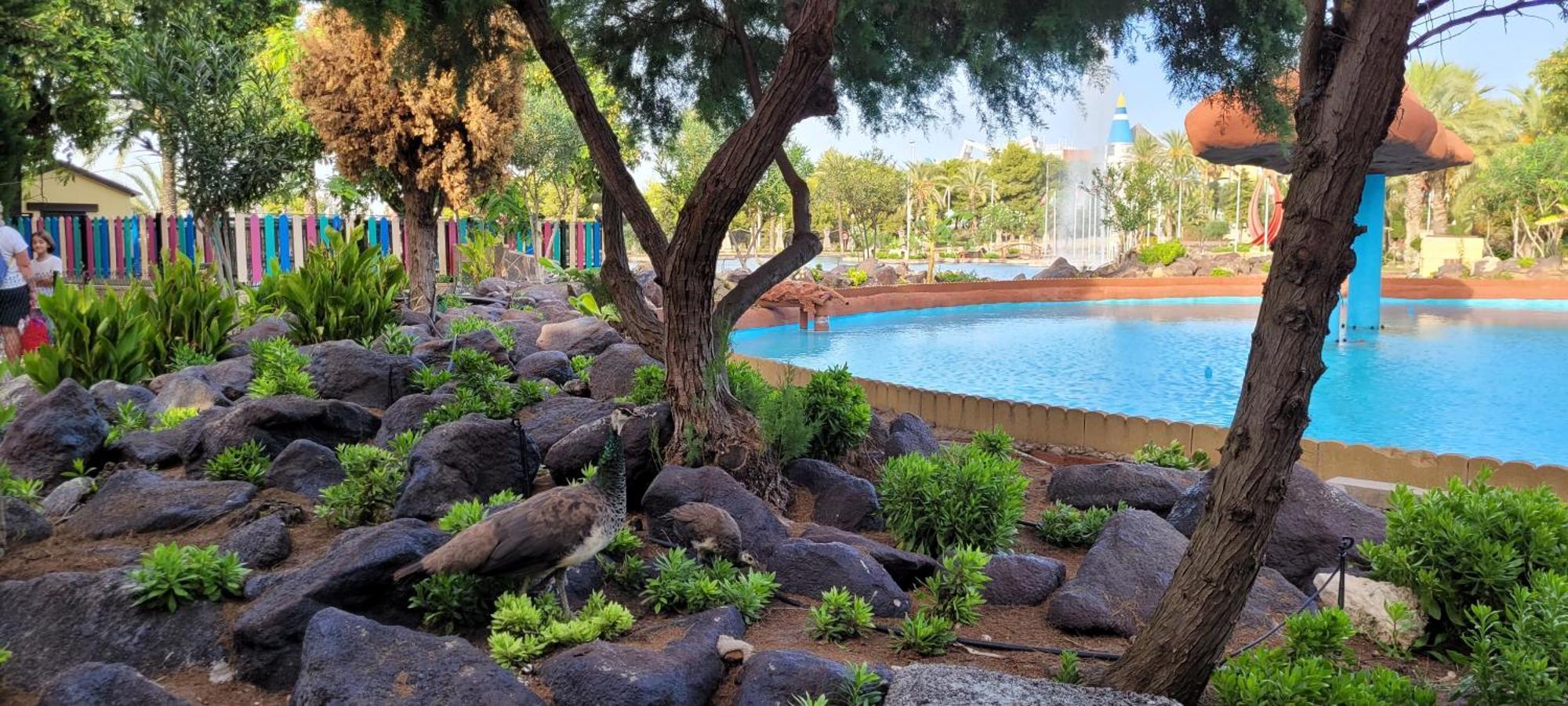 Bungalow Casa De Pablo لا ماتا المظهر الخارجي الصورة